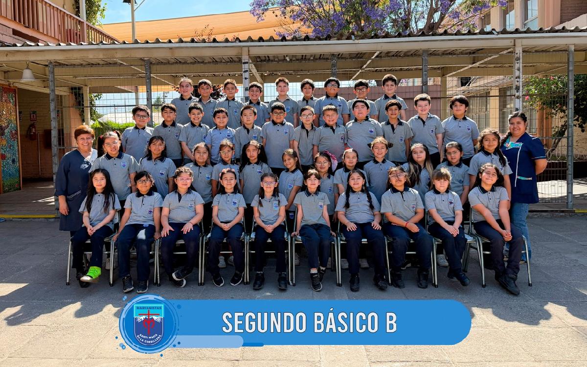 img_gale_694edf8684161_26122025.jpeg