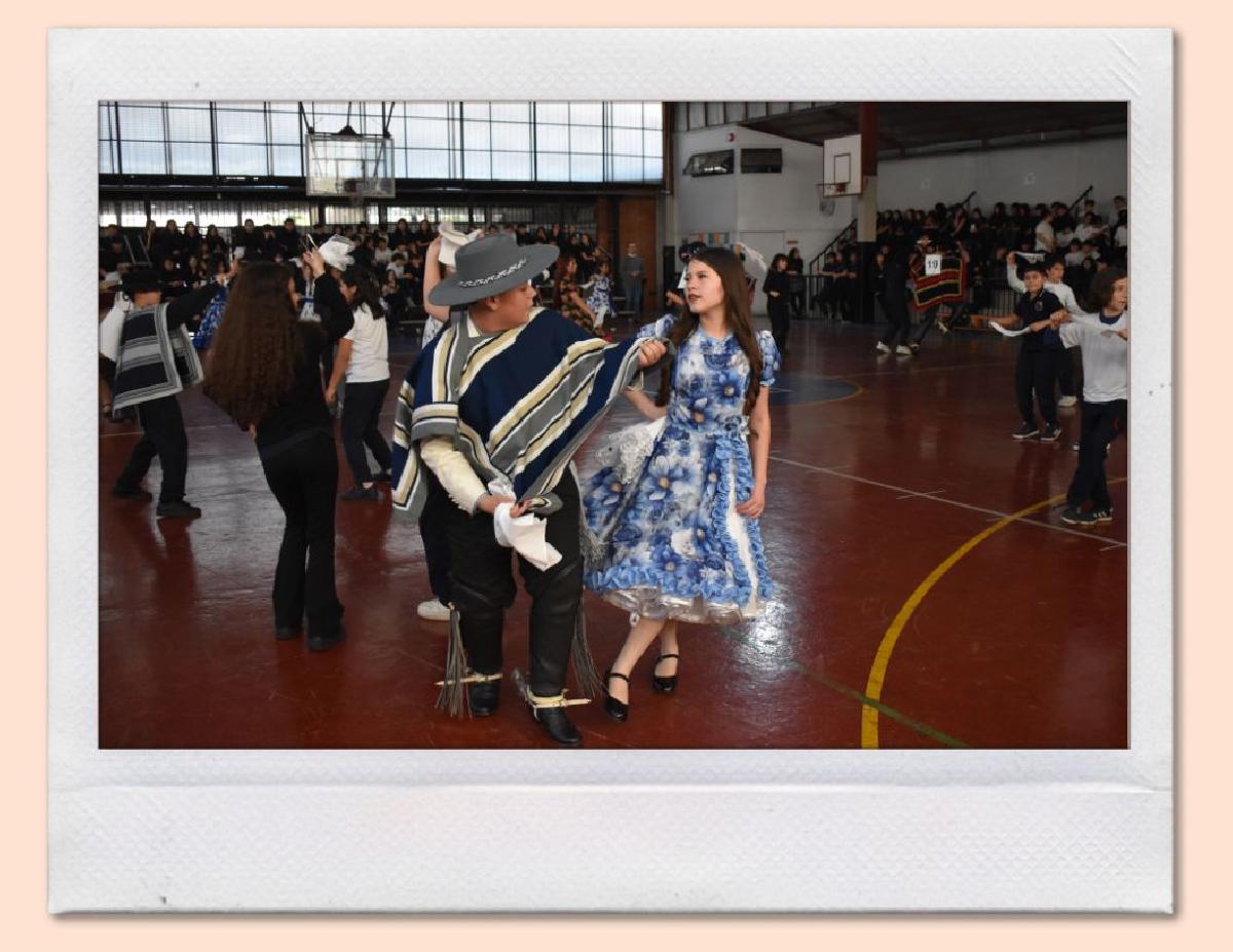 img_gale_6a9f0bb0afd5d_07092026.jpg