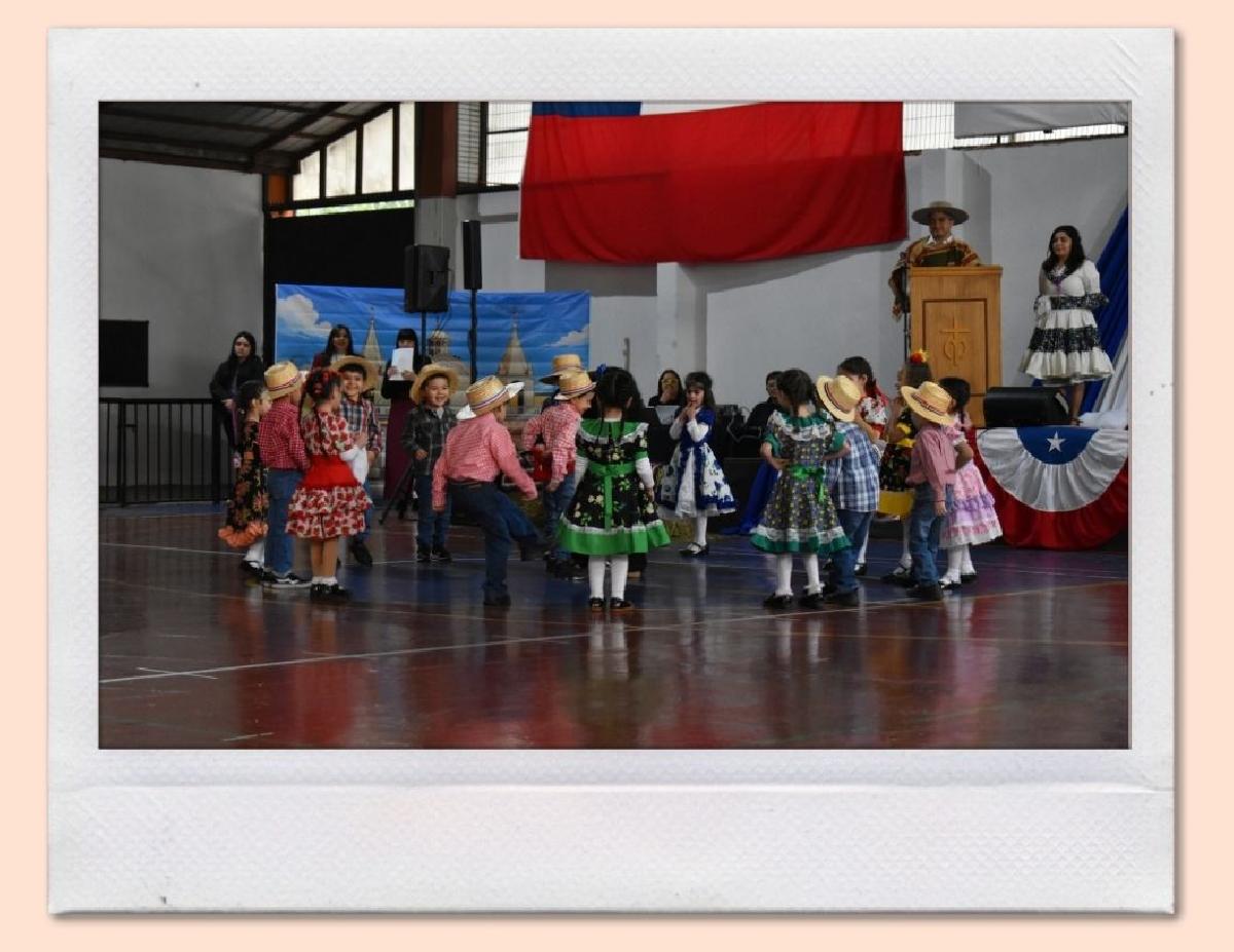 img_gale_6ab6af7c0cf61_25092026.jpg