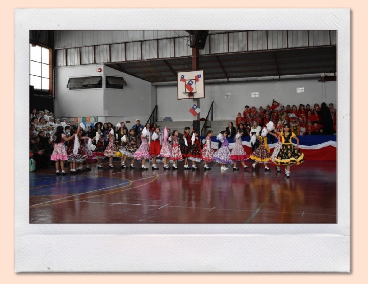 img_gale_6ab6af7c2dec7_25092026.jpg