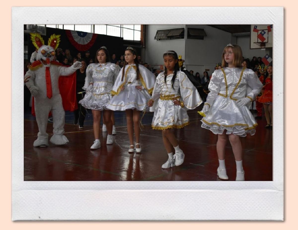 img_gale_6ab6aff6a337d_25092026.jpg